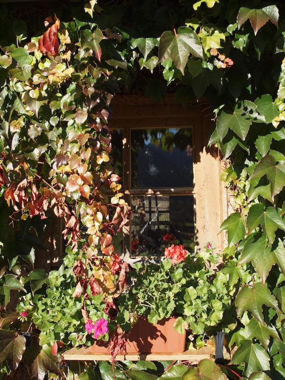 Ferienwohnung Alpenresidenz Chiemgau Schleching Exterior foto